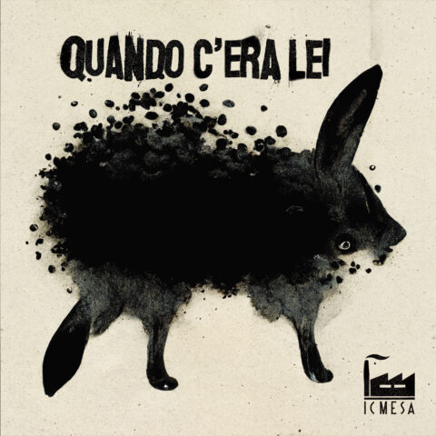 ICMESA – Quando c’era lei